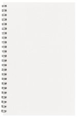 Custom Academic Weekly Planner w / Technocolor Cover - 5