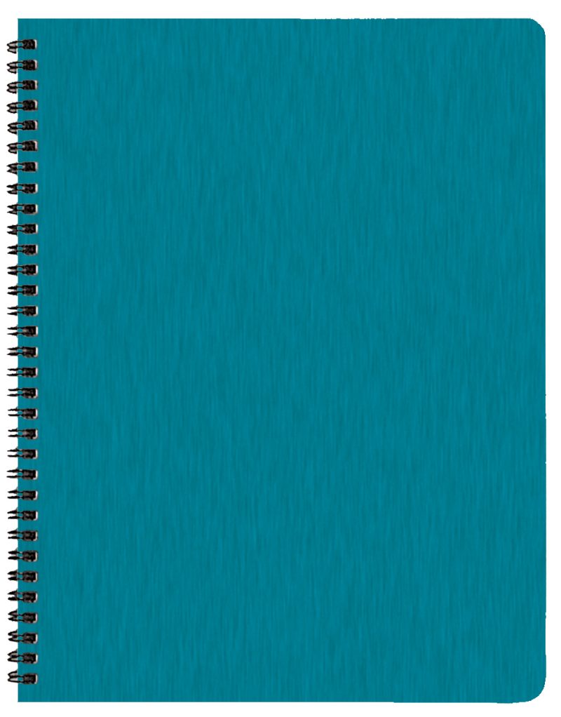 Custom Academic Wire Bound Monthly Appointment Planner w/ Shimmer Cover - 2