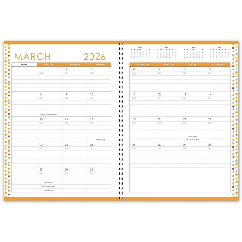 Custom Full Color Academic 7x10 Planner Colored Insert - 2