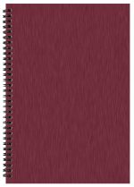 Custom Monthly Desk Wire Bound Appointment Planner w/ Shimmer Cover - 4