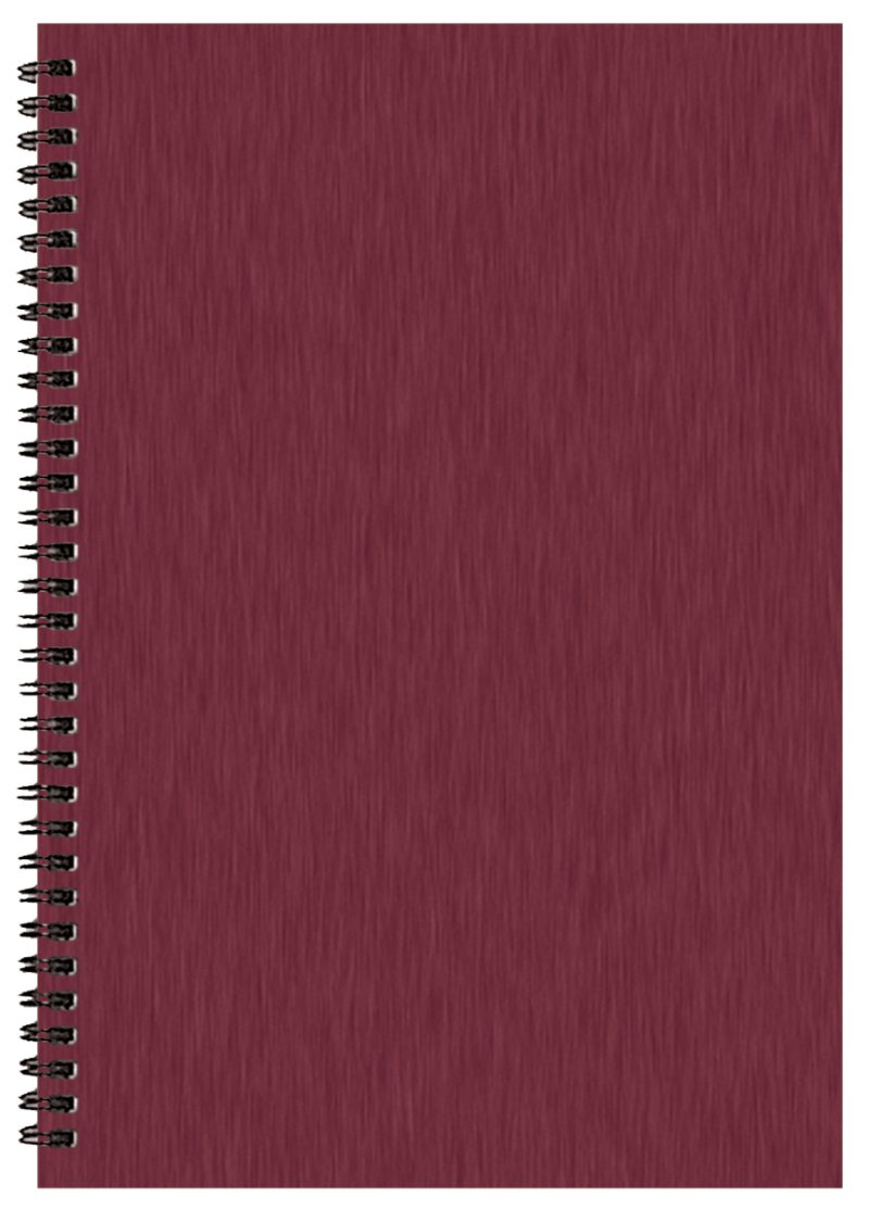 Custom Monthly Desk Wire Bound Appointment Planner w/ Shimmer Cover - 4