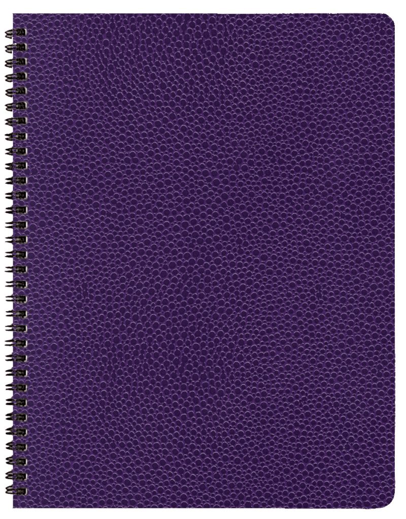 Custom Time Master Time Management Planner w/ Cobblestone Cover - 2