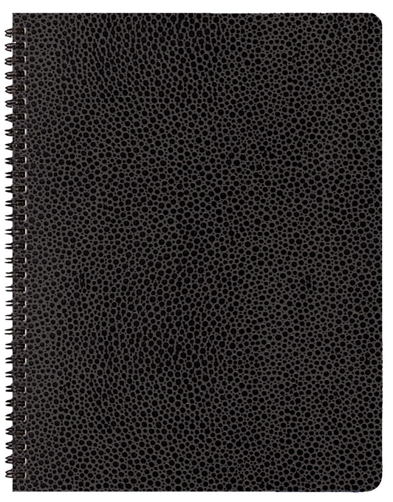 Custom Time Master Time Management Planner w/ Cobblestone Cover - 4