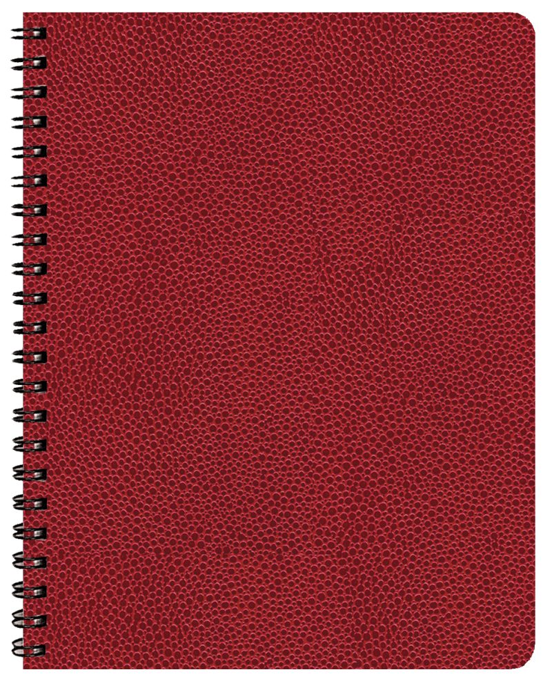 Custom Time:Master Time Management Planner w/ Cobblestone Cover - 4
