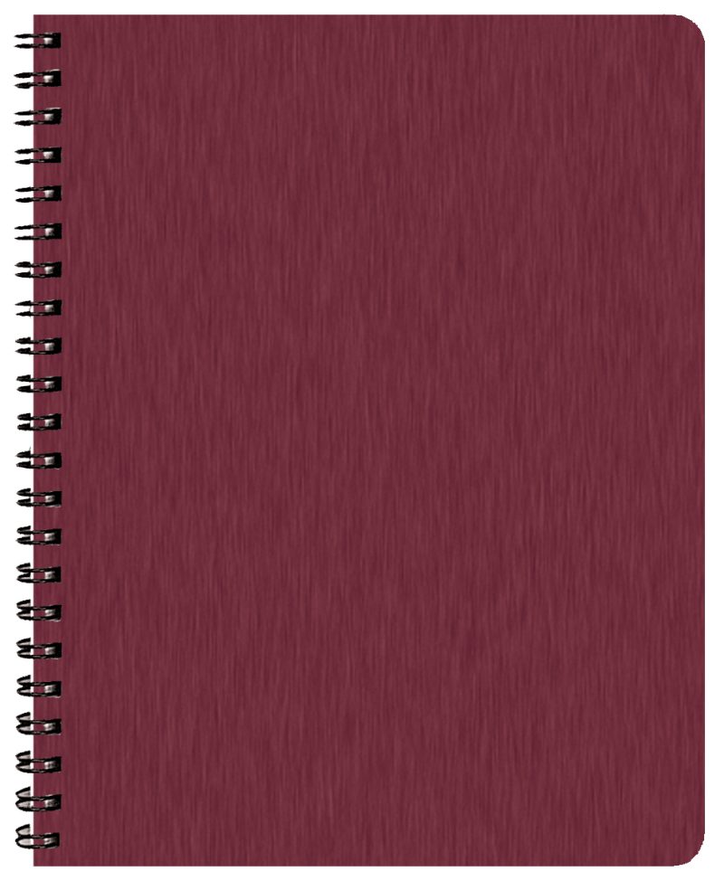 Custom Time:Master Time Management Planner w/ Shimmer Cover - 2