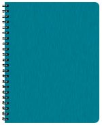 Custom Time:Master Time Management Planner w/ Shimmer Cover - 4