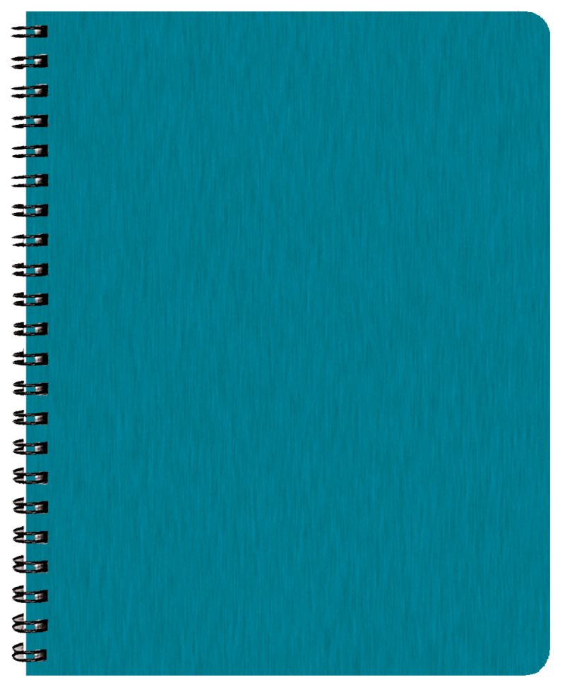 Custom Time:Master Time Management Planner w/ Shimmer Cover - 4