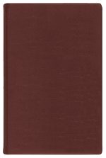 Custom Two Year Monthly Desk Planner w/ Continental Vinyl Cover - 2