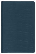Custom Two Year Monthly Desk Planner w/ Continental Vinyl Cover - 3