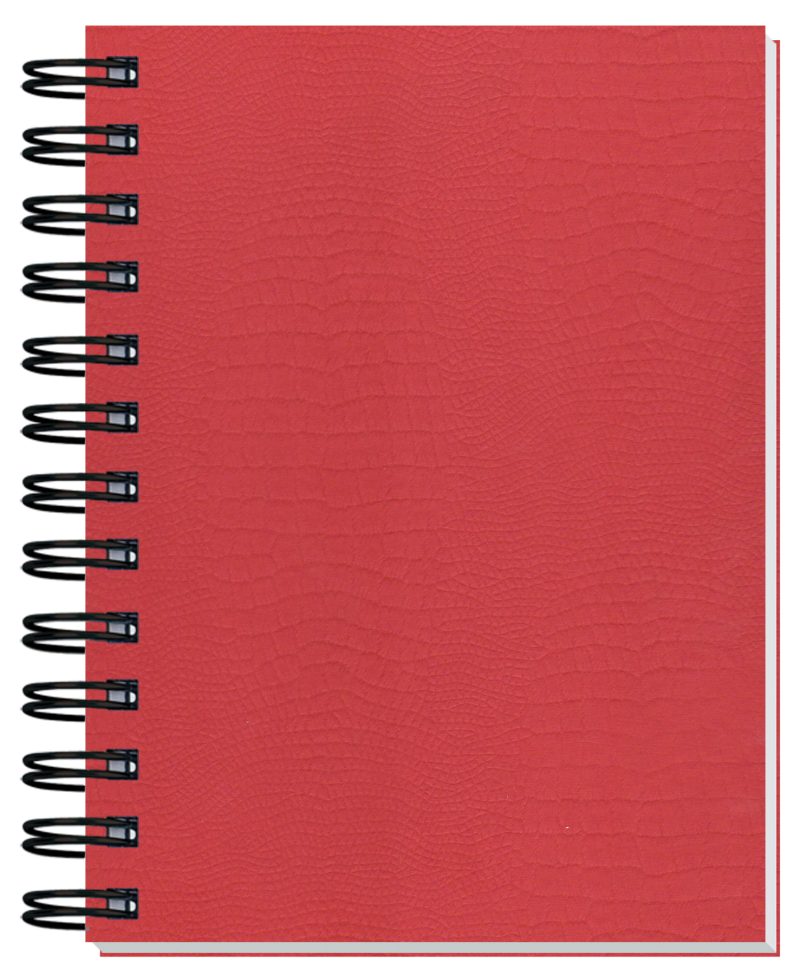 Custom Embossed Alligator Textured Journal w/100 Sheets (5"x 7") - 5