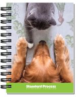 Custom Gloss Cover Journals w/100 Sheets (5"x 7") - 4